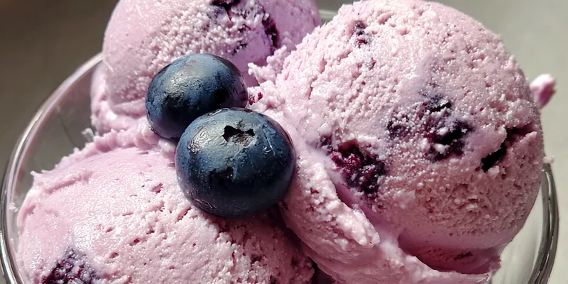 Blueberry Frozen Yogurt Delight